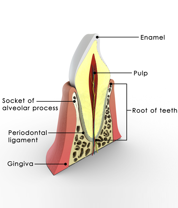 When is root canal treatment needed?